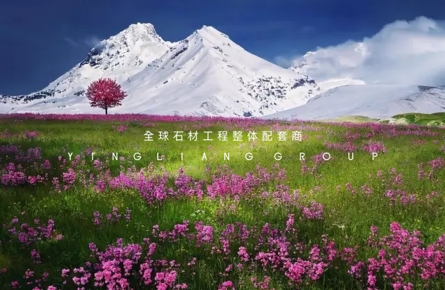 640.webp (4)