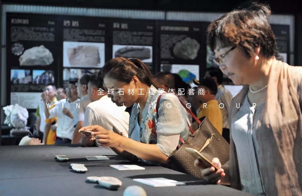 640.webp (5)